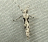  ( - RWWA-2759)  @12 [ ] CreativeCommons - Attribution (2012) CBG Photography Group Centre for Biodiversity Genomics