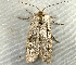 ( - RWWA-3363)  @13 [ ] CreativeCommons - Attribution Non-Commercial Share-Alike (2012) Richard Wilson Unspecified