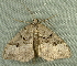  ( - RWWA-3502)  @13 [ ] CreativeCommons - Attribution Non-Commercial Share-Alike (2012) Richard Wilson Unspecified