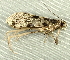  ( - RWWA-3504)  @12 [ ] CreativeCommons - Attribution Non-Commercial Share-Alike (2012) Richard Wilson Unspecified