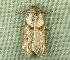  ( - RWWA-3720)  @13 [ ] CreativeCommons - Attribution Non-Commercial Share-Alike (2012) Richard Wilson Unspecified