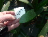  ( - Spies 8557)  @11 [ ] Copyright (2009) Unspecified UFS