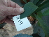  ( - UFS002)  @11 [ ] Unspecified (default): All Rights Reserved  Unspecified Unspecified