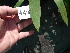  ( - UFS020)  @11 [ ] Unspecified (default): All Rights Reserved  Unspecified Unspecified