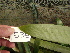  ( - UFS012)  @11 [ ] Unspecified (default): All Rights Reserved  Unspecified Unspecified