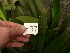  ( - UFS014)  @11 [ ] Unspecified (default): All Rights Reserved  Unspecified Unspecified