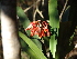  ( - Spies 8488)  @11 [ ] Copyright (2006) Unspecified UFS