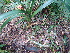  ( - Spies 8609)  @11 [ ] Copyright (2007) Unspecified UFS