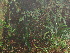  ( - Spies 8502)  @11 [ ] Copyright (2007) Unspecified UFS