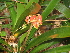  ( - Spies 8497)  @11 [ ] Copyright (2007) Unspecified UFS