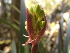  ( - Spies 8958)  @11 [ ] Copyright (2007) Unspecified UFS