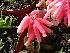 ( - UFS056)  @11 [ ] Unspecified (default): All Rights Reserved  Unspecified Unspecified
