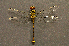  ( - R13H)  @11 [ ] CreativeCommons - Attribution Share-Alike (2020) Unspecified Rhodes University