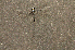  ( - R16H)  @11 [ ] CreativeCommons - Attribution Share-Alike (2020) Unspecified Rhodes University