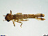  ( - R25H)  @11 [ ] CreativeCommons - Attribution Share-Alike (2020) Unspecified Rhodes University