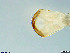  ( - R25H)  @11 [ ] CreativeCommons - Attribution Share-Alike (2020) Unspecified Rhodes University