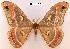  ( - BC-ARI 0279)  @13 [ ] Copyright (2011) Andreas Riekert Unspecified