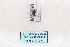  ( - MY350)  @12 [ ] CreativeCommons - Attribution Non-Commercial No Derivatives (2015) SCDBC SCDBC