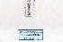  ( - MY443)  @12 [ ] CreativeCommons - Attribution Non-Commercial No Derivatives (2015) SCDBC SCDBC