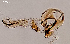  ( - SaA37)  @11 [ ] Copyright (2024) Juan Filipponi Instituto de Medicina Regional