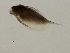  ( - 08PROBE-2051)  @12 [ ] CreativeCommons - Attribution (2008) Unspecified Centre for Biodiversity Genomics