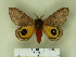 ( - BC-CGCM 002)  @13 [ ] Unspecified (default): All Rights Reserved  Unspecified Unspecified