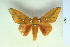  ( - BC-CGCM-10.497)  @13 [ ] Copyright (2010) Unspecified Research Collection of Carlos Mielke
