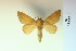  ( - BC-CGCM-10.941)  @13 [ ] Copyright (2010) Unspecified Research Collection of Carlos Mielke