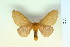  ( - BC-CGCM-10.992)  @12 [ ] Copyright (2010) Unspecified Research Collection of Carlos Mielke
