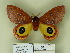  ( - BC-CGCM 11.500)  @14 [ ] Unspecified (default): All Rights Reserved  Unspecified Unspecified