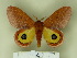  ( - BC-CGCM 11.755)  @14 [ ] Unspecified (default): All Rights Reserved  Unspecified Unspecified
