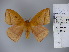  ( - BC-CGCM 12.947)  @13 [ ] Unspecified (default): All Rights Reserved  Unspecified Unspecified