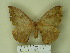  ( - BC-CGCM 13.296)  @13 [ ] Unspecified (default): All Rights Reserved  Unspecified Unspecified