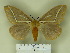  ( - BC-CGCM 15.377)  @13 [ ] Unspecified (default): All Rights Reserved  Unspecified Unspecified