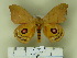  ( - BC-CGCM 17.124)  @12 [ ] Unspecified (default): All Rights Reserved  Unspecified Unspecified