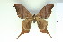  ( - BC-CGCM-17.154)  @11 [ ] Copyright (2010) Unspecified Research Collection of Carlos Mielke