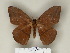  ( - BC-CGCM 19.442)  @11 [ ] Unspecified (default): All Rights Reserved  Unspecified Unspecified