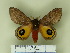  ( - BC-CGCM 19.635)  @13 [ ] Unspecified (default): All Rights Reserved  Unspecified Unspecified