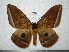  ( - BC-CGCM 19.799)  @13 [ ] Unspecified (default): All Rights Reserved  Unspecified Unspecified