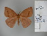  ( - BC-CGCM 2.049)  @14 [ ] Unspecified (default): All Rights Reserved  Unspecified Unspecified