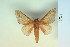  ( - BC-CGCM-2.177)  @14 [ ] Copyright (2010) Unspecified Research Collection of Carlos Mielke