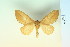  ( - BC-CGCM-21.053)  @11 [ ] Copyright (2010) Unspecified Research Collection of Carlos Mielke