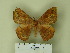  ( - BC-CGCM 21.411)  @13 [ ] Unspecified (default): All Rights Reserved  Unspecified Unspecified