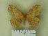  ( - BC-CGCM 22.824)  @13 [ ] Unspecified (default): All Rights Reserved  Unspecified Unspecified