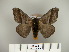  ( - BC-CGCM 23.202)  @14 [ ] Copyright (2010) Unspecified Research Collection of Carlos Mielke
