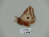  ( - BC-CGCM 23.251)  @12 [ ] Copyright (2010) Unspecified Research Collection of Carlos Mielke
