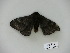  ( - BC-CGCM 23.254)  @13 [ ] Copyright (2010) Unspecified Research Collection of Carlos Mielke