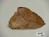  ( - BC-CGCM 23.269)  @12 [ ] Copyright (2010) Unspecified Research Collection of Carlos Mielke