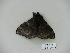  ( - BC-CGCM 23.319)  @11 [ ] Copyright (2010) Unspecified Research Collection of Carlos Mielke