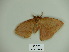  ( - BC-CGCM 23.331)  @12 [ ] Copyright (2010) Unspecified Research Collection of Carlos Mielke